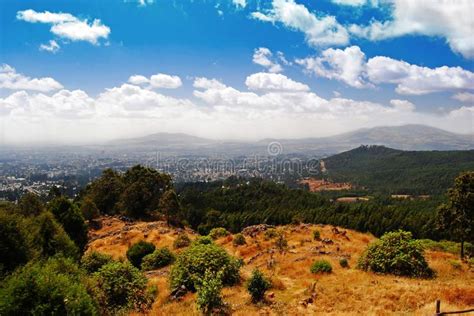 Entoto Mountain! A Breathtaking Escape Into Ethiopian History and Nature